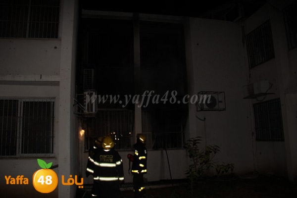 fire tomashin 0129 (11).JPG